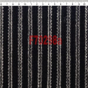 F70298a